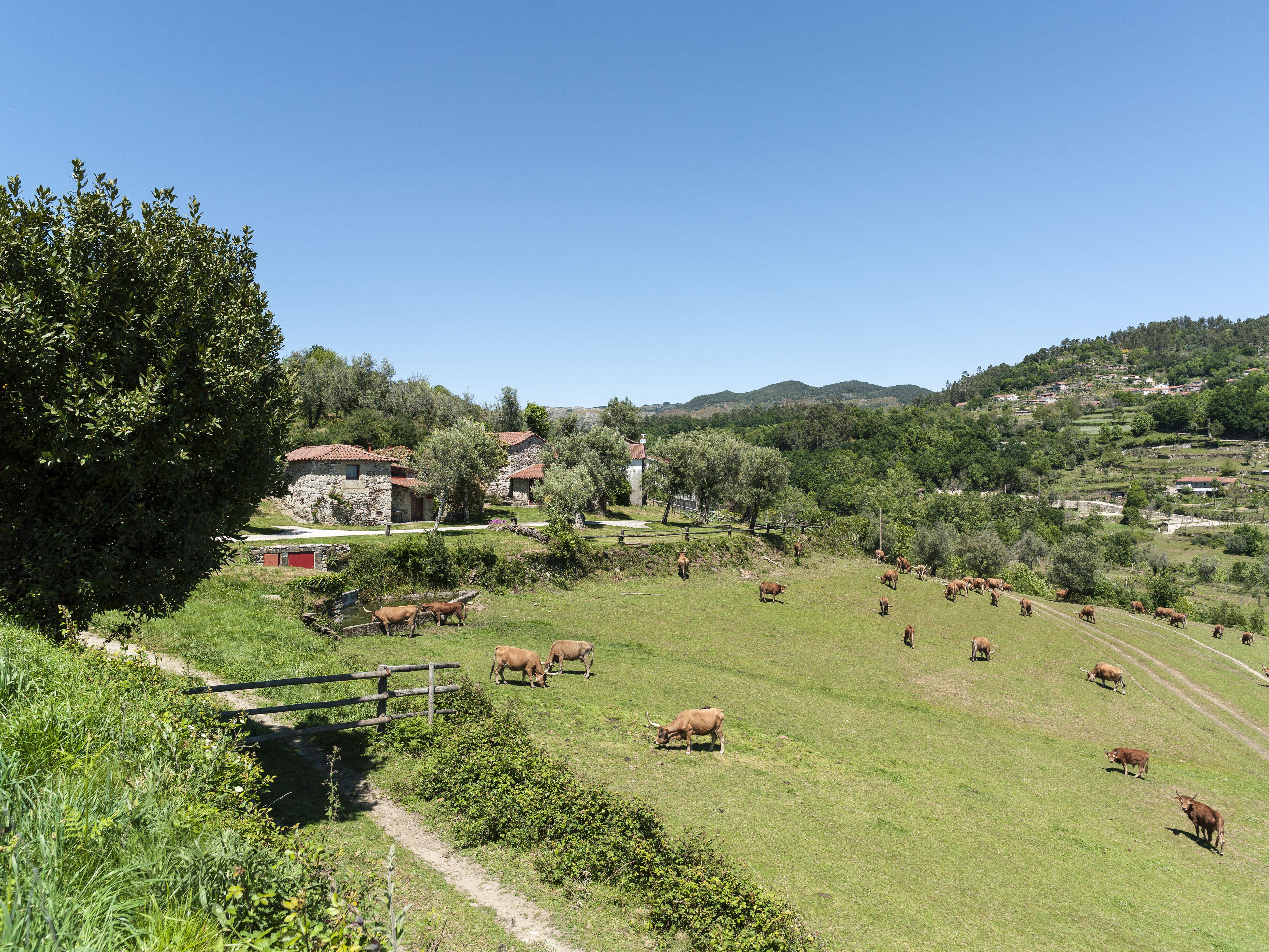 Villa Quinta Do Rapozinho Cabeceiras de Basto Esterno foto